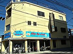 ���C�h�U�E�B���h�X�܉摜